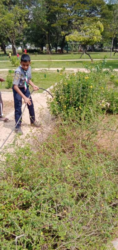 Tree Planting, Watering, Gardening & Social service project at Viharamahadevi park