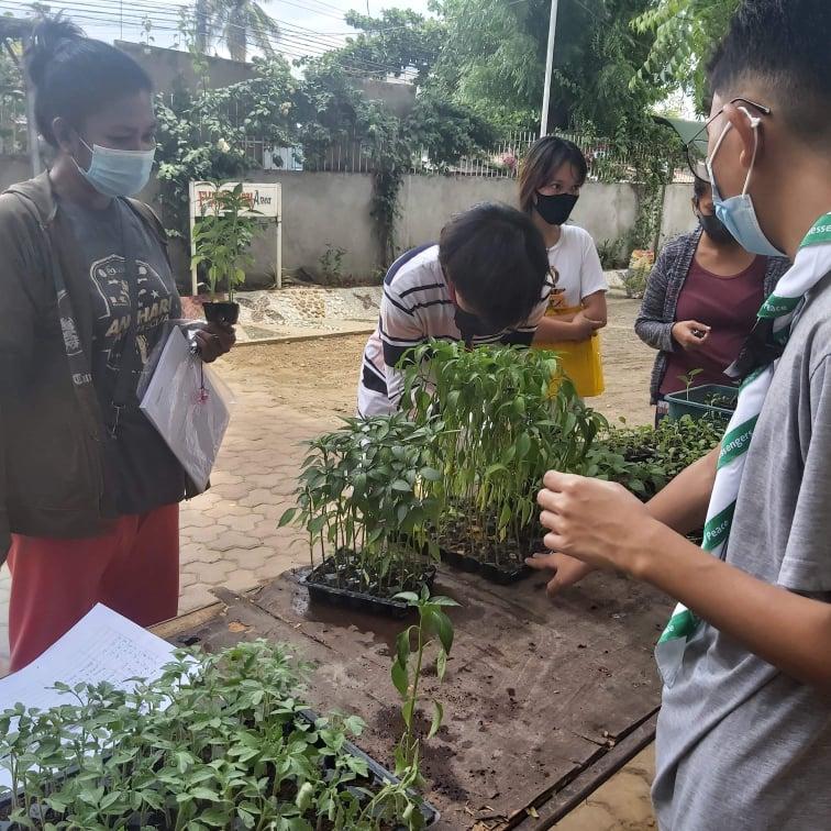 QUARANTANIM PROJECT: MOP Seed Pantry for the Community
