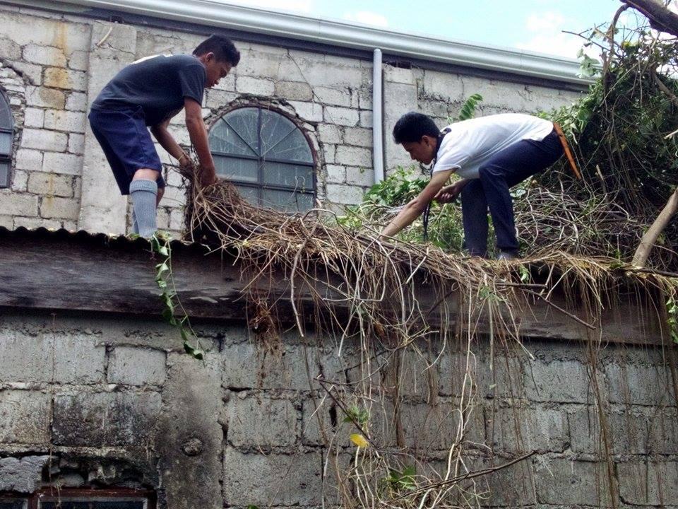 Scouts of the World Award voluntary Service