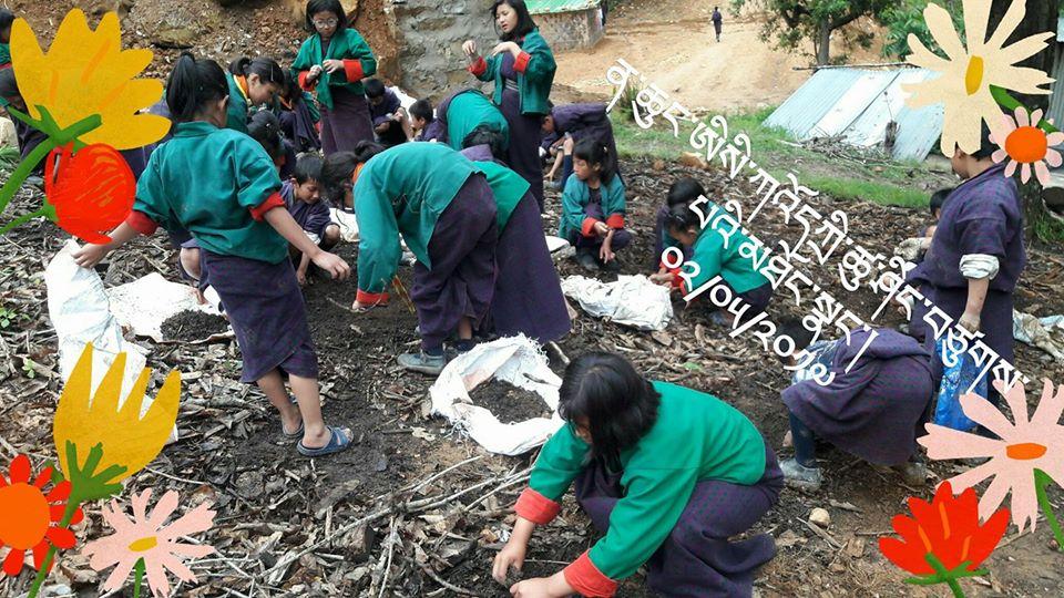 ཤིང་གསར་བཙུགས།