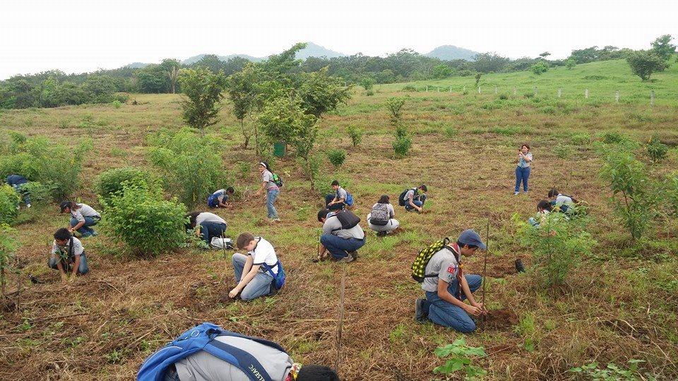 Jornada de Reforestación 2014