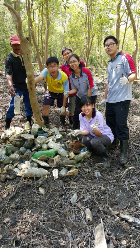 100 Mangrove Trees Planting and Seedling, Rubbish Cleaning