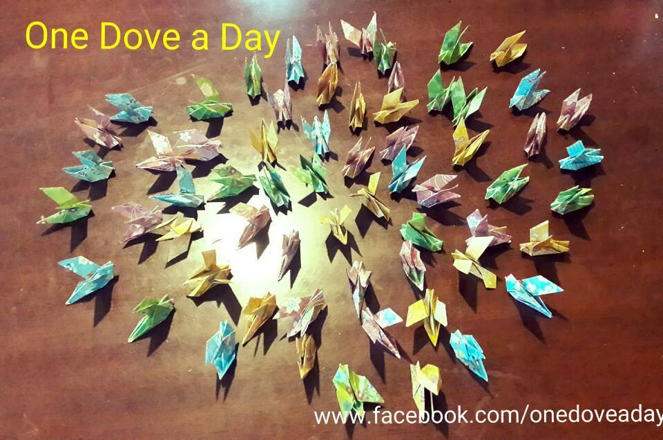 One Dove a Day,One Peace for the World.