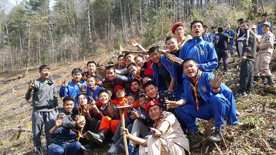 Tree Plantation 