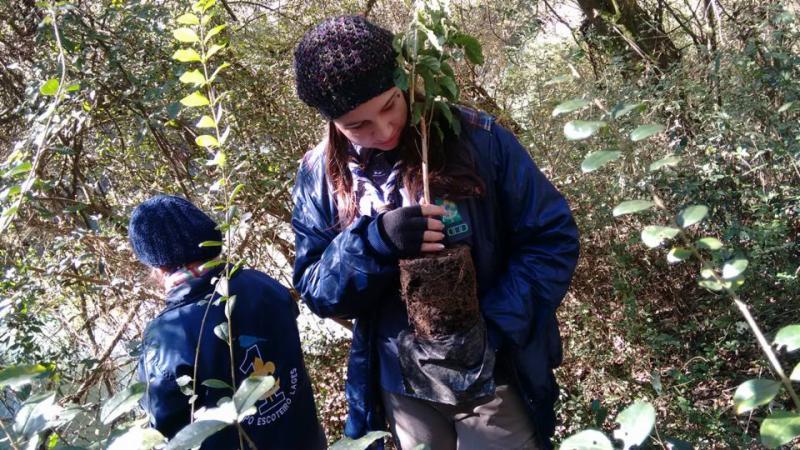 PLANTIO DE ÁRVORES FRUTÍFERAS NATIVAS NA MATA CILIAR DO RIO CAVEIRAS PARA DESENVOLVIMENTO DE FAUNA E FLORA REGIONAL