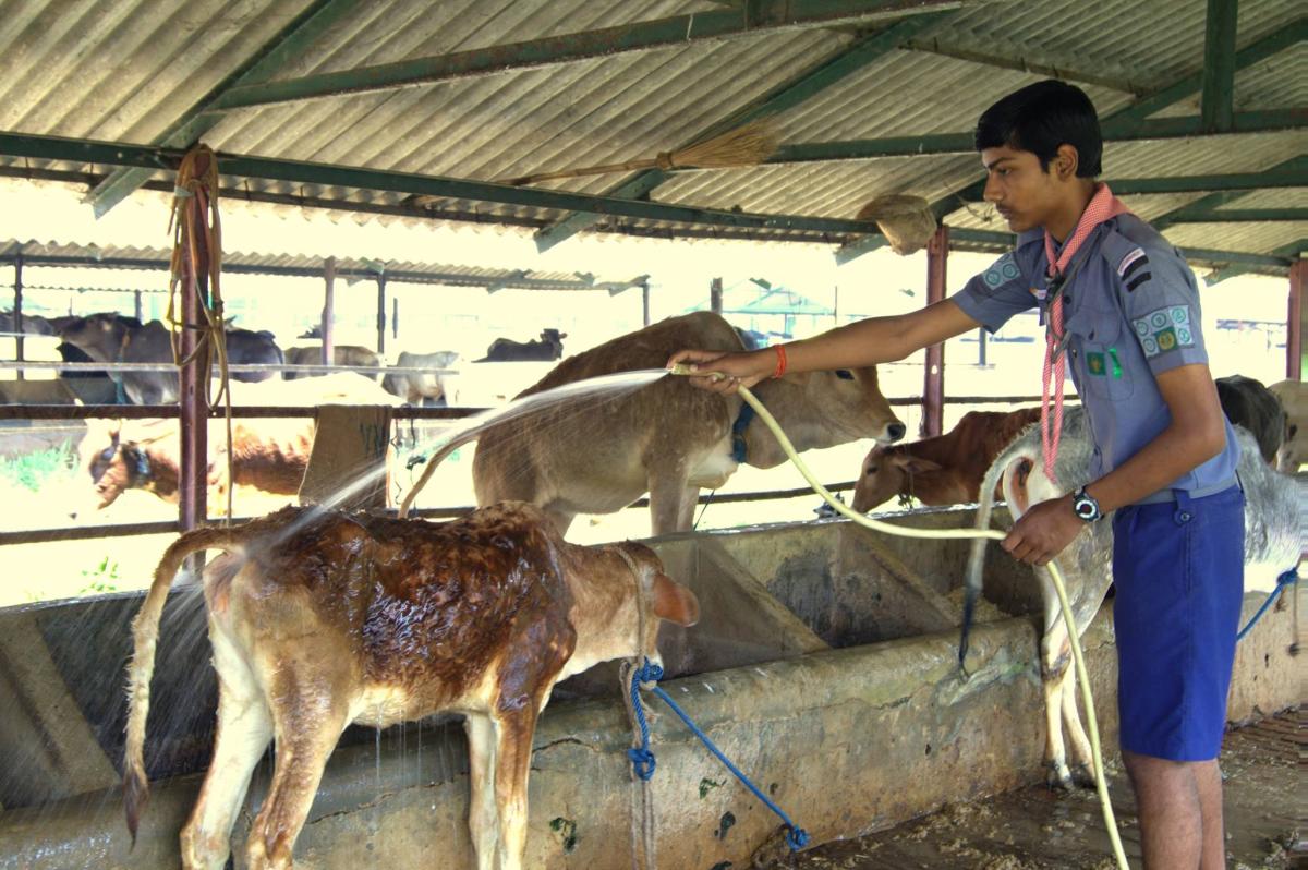 GO-SEVA FOR DEVELOP THE COMMUNITY
