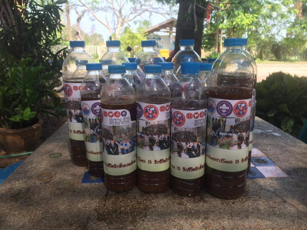 โรงเรียนบ้านพิณโท โครงการ รักชีวิต รักสิ่งแวดล้อม SWA13