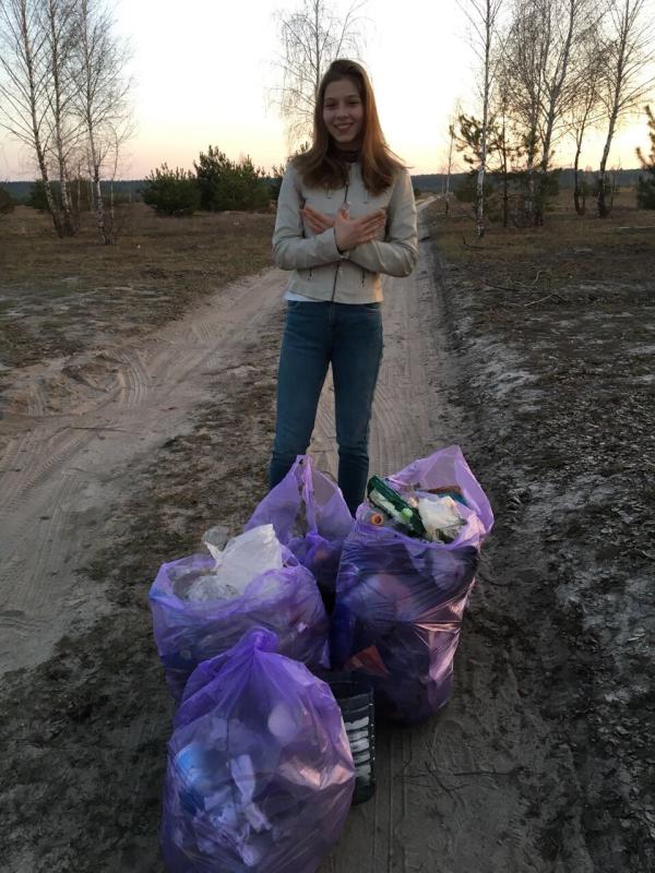 The clean-up in the woods