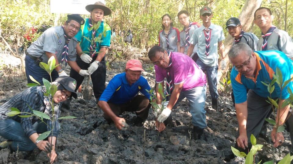 Save Our Shores (S.O.S) 500 Mangrove Trees Planting