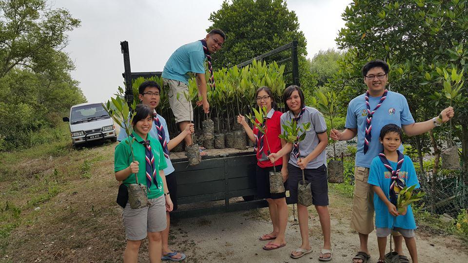 100 Mangrove Trees Planting and Mural Art Drawing