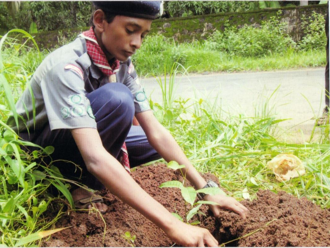 PRESERVATION OF GREENARY