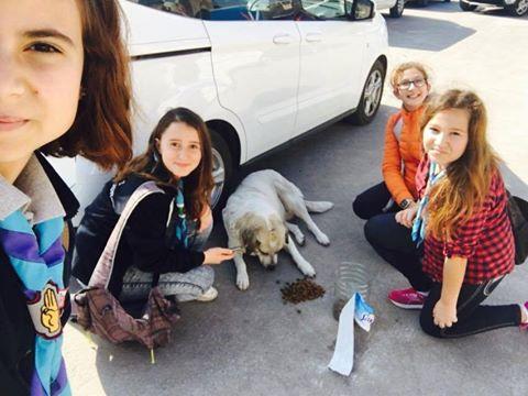 A few work on "Scout is helpful week"