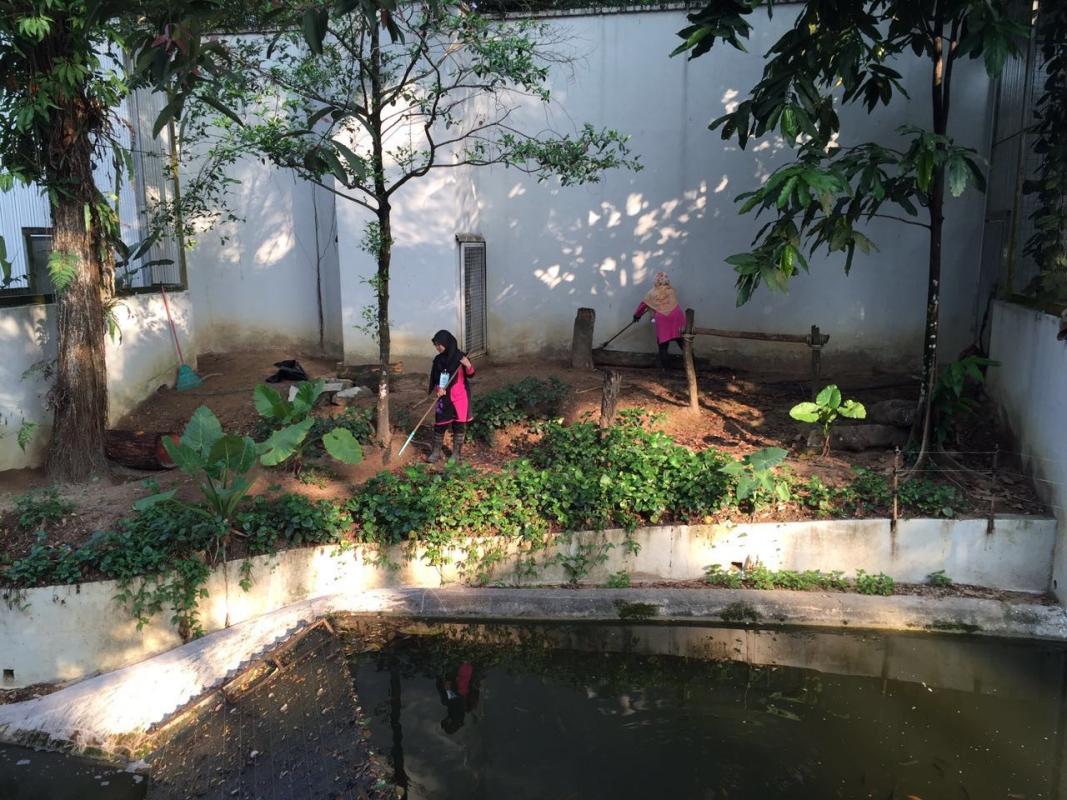 Volunteering at Zoo Negara 2.0