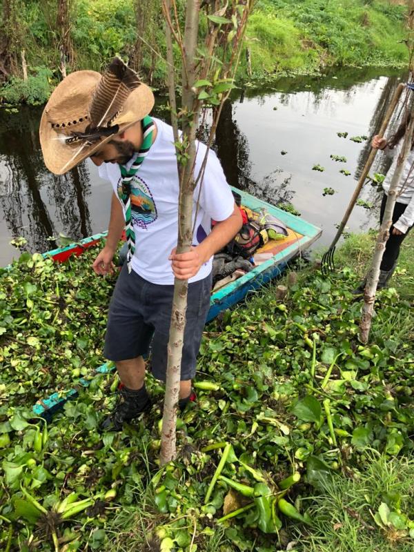 Extracción de lirio en Xochimilco