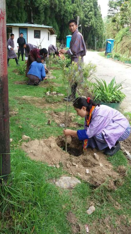 Greening out Bhutan throught collective afford.