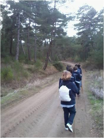 "FOREST CHALLENGES" PROJECT finished