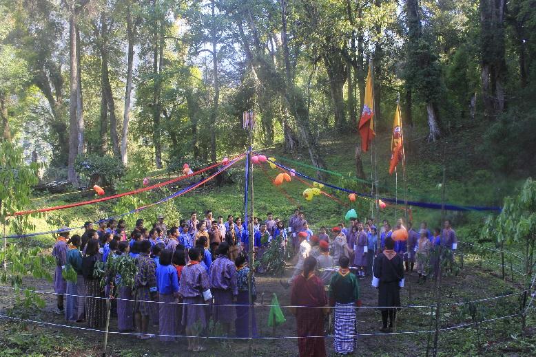 Wilderness Survival Skills