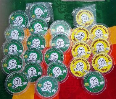 Academic Excellence Badges for Scouts