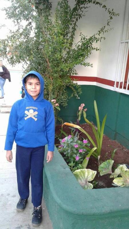 Elaboración de Composta