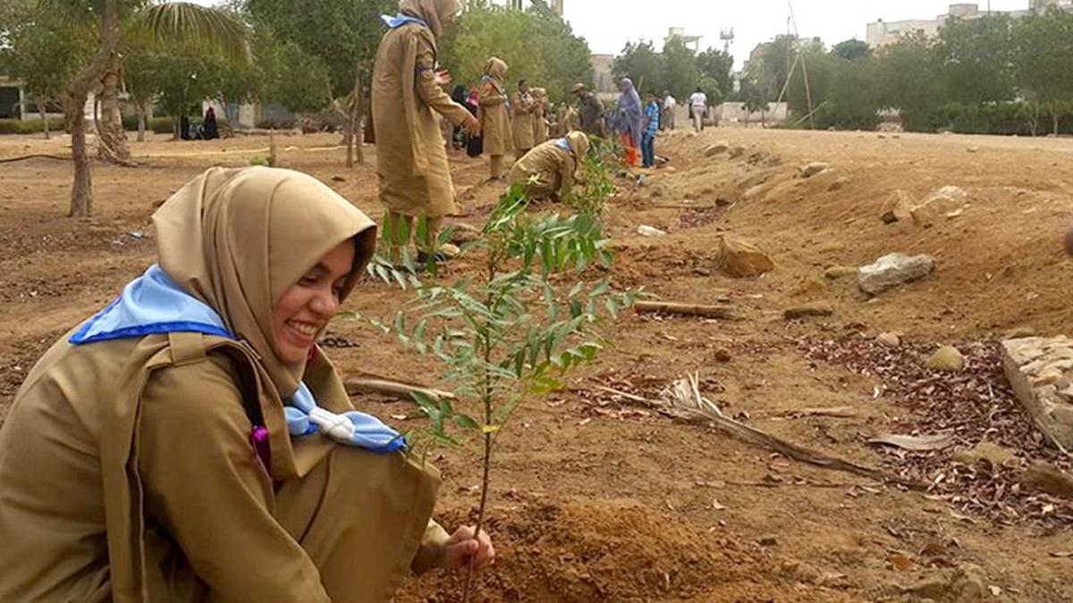 TREE PLANTATION DRIVE 2018