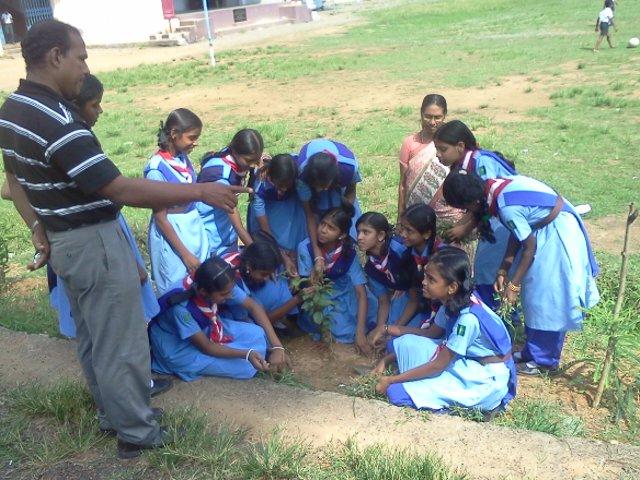World Environment Day