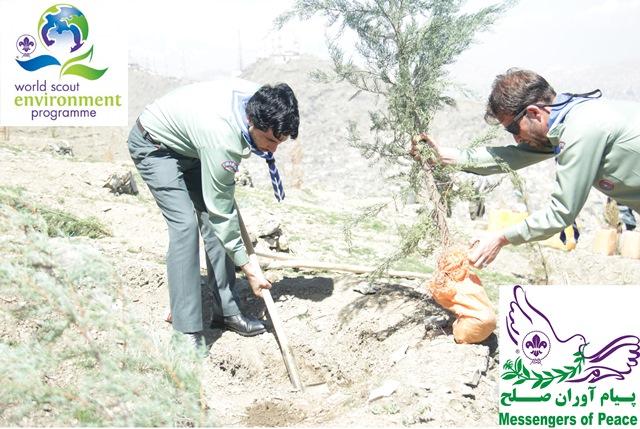 Environmental Protection