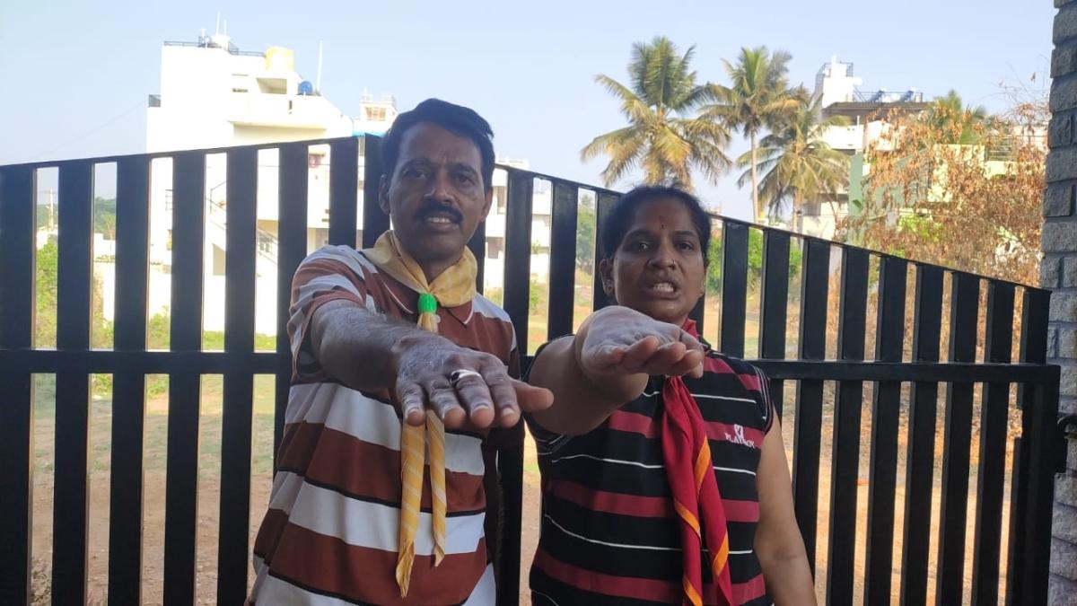 ಪರಿಸರ ಮತ್ತು ಸುಸ್ಥಿರತೆ