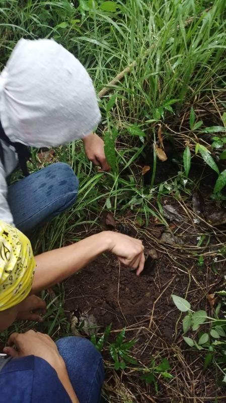 save trees and mother earth