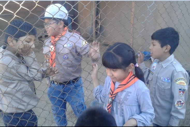 Juntos por los Franciscanitos (hogar de perritos)