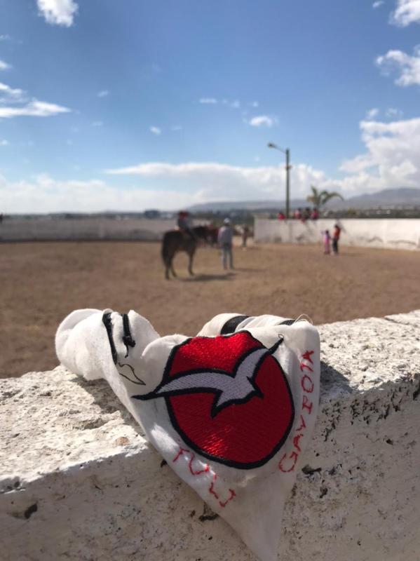 ESPERANZA EN PANDEMIA