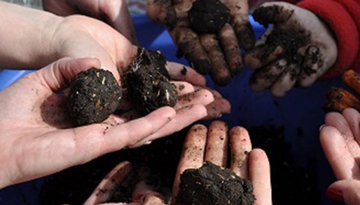bombas ecologicas mensajeros de la paz