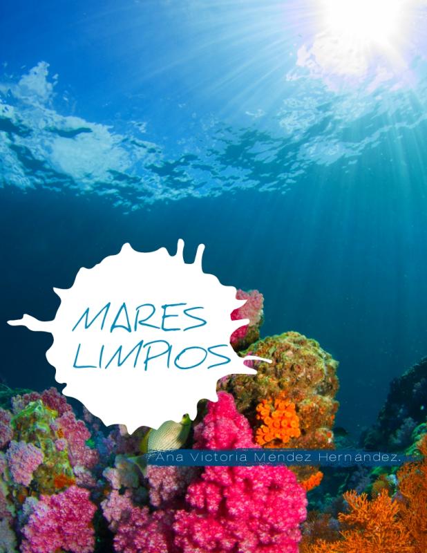  Noody, el nudibranquio