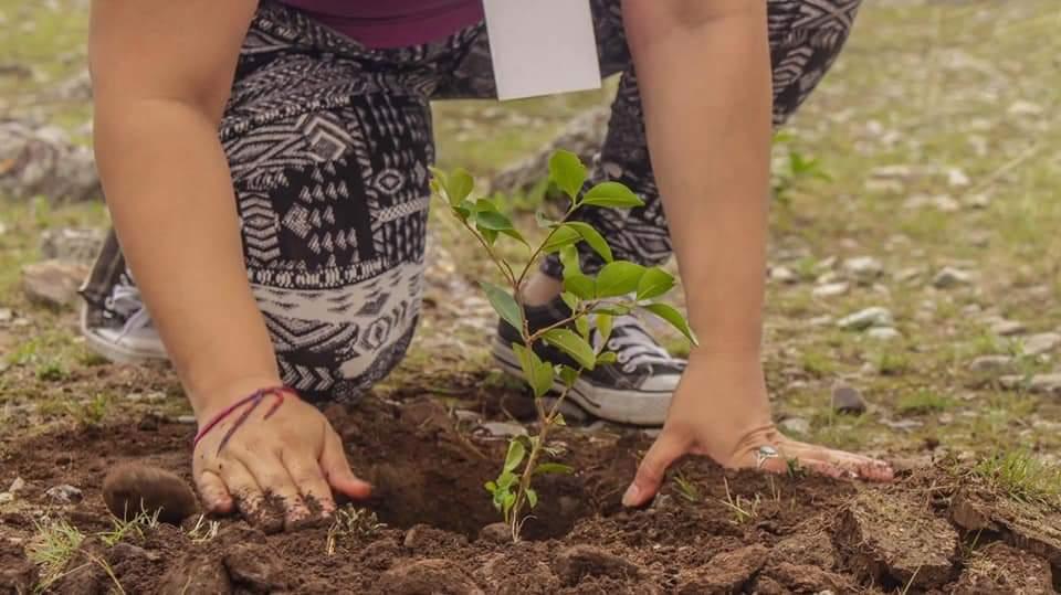 SCOUTS DEL MUNDO-AMANCAYA