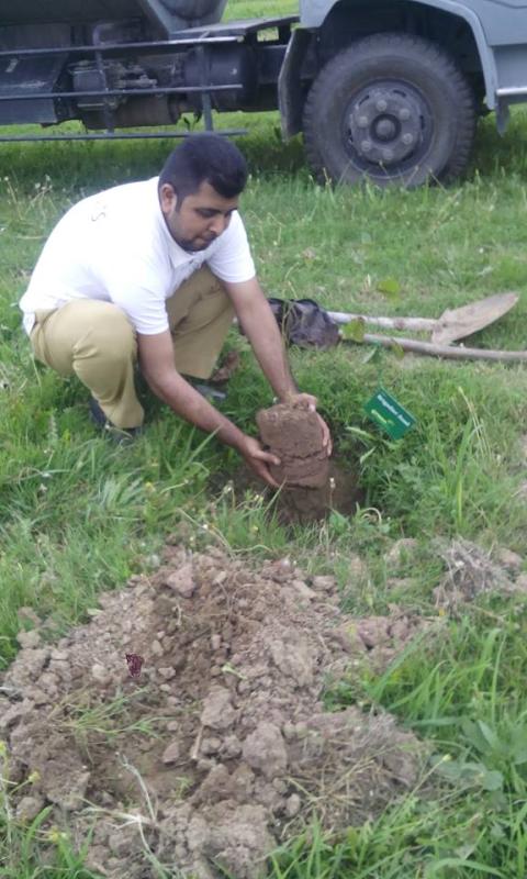 "Tree For Peace "Plantation Drive