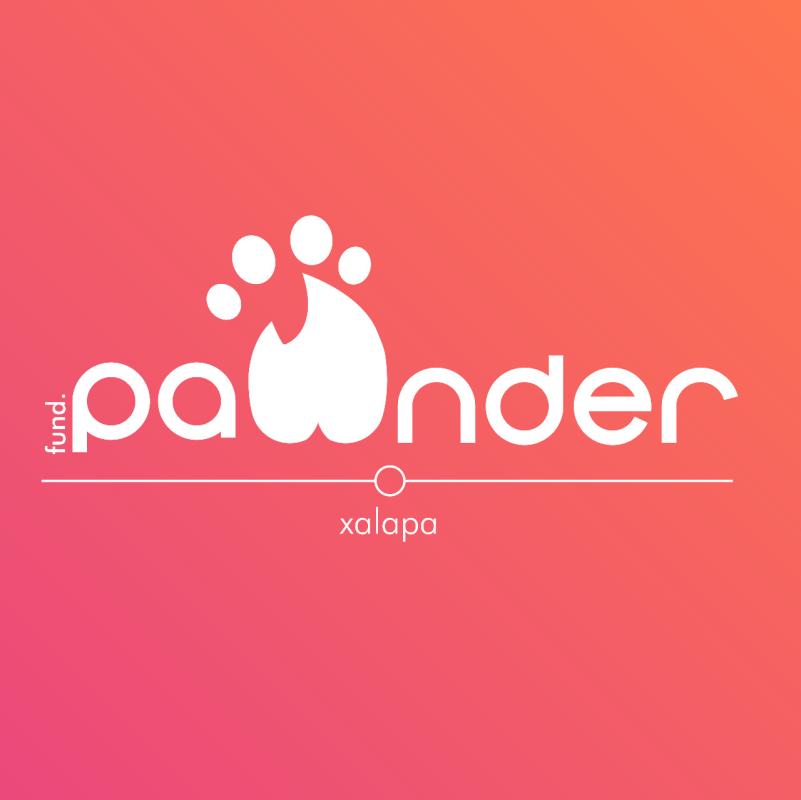 Pawnder Xalapa Grupo 3