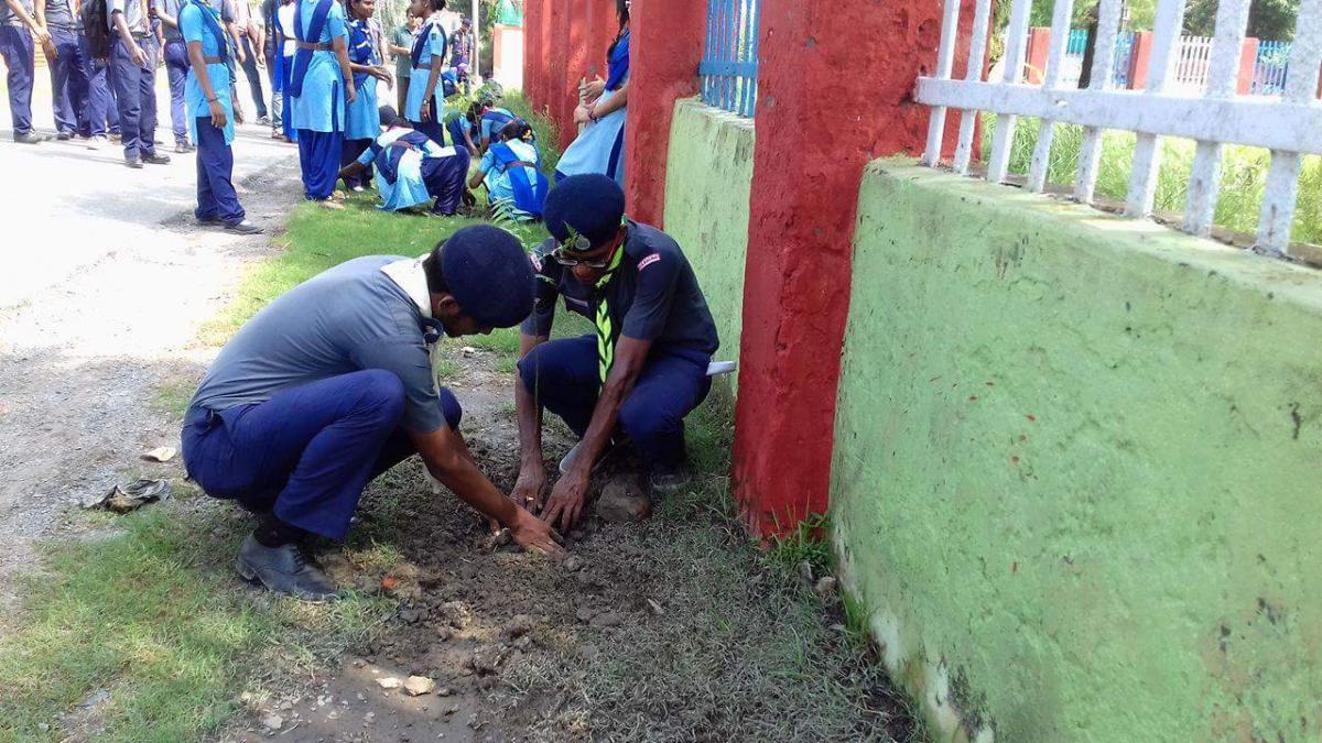 Mass tree plantation
