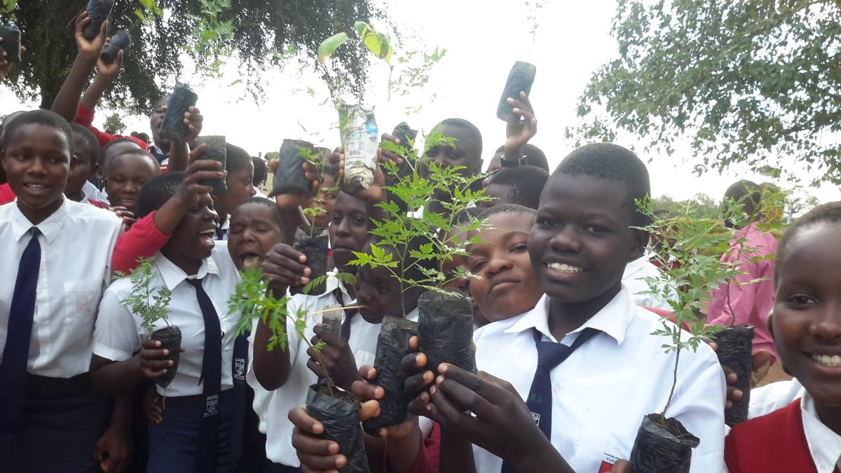 My Tree My Life: Bande Girls tree planting