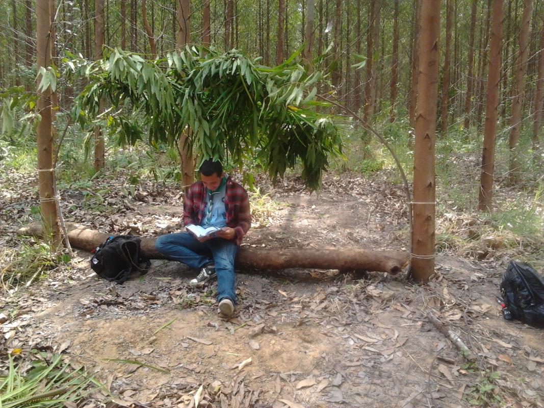 Estudando 