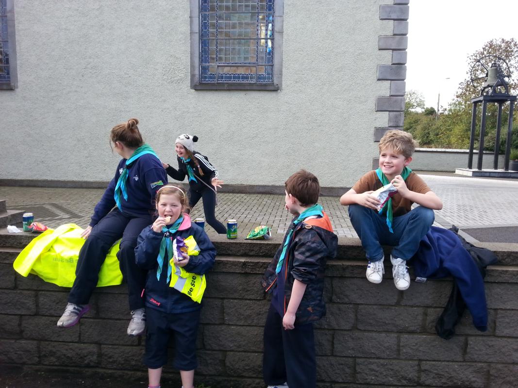 Cub Scouts help to clean up Stamullen
