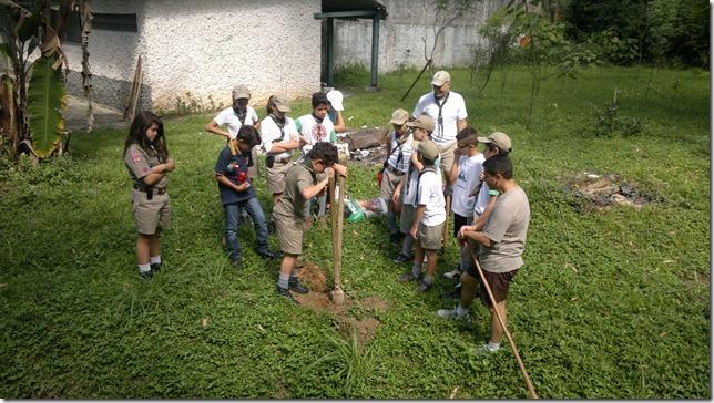 Floristic enrichment of a rainforest degraded area