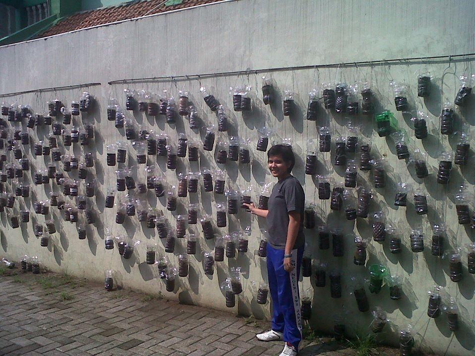 Kebun Vertical / Ecowalls