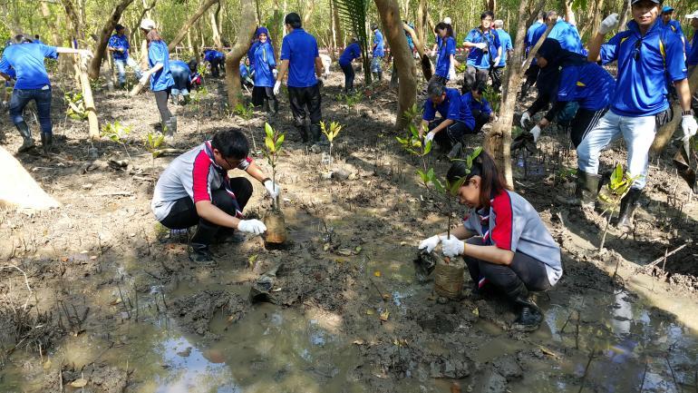 1000 Mangrove Tree Planting with Renesas Electronic