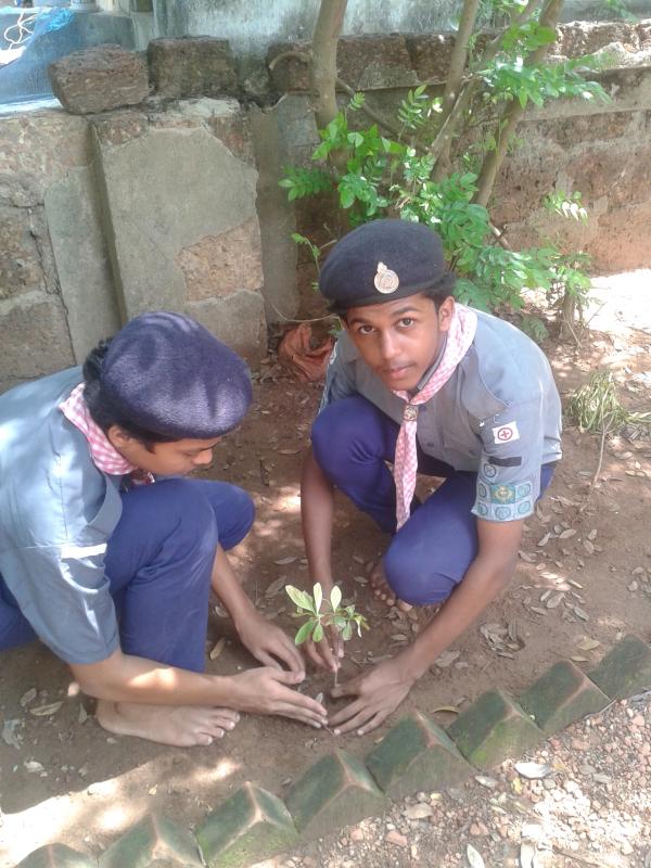 36 hours social service