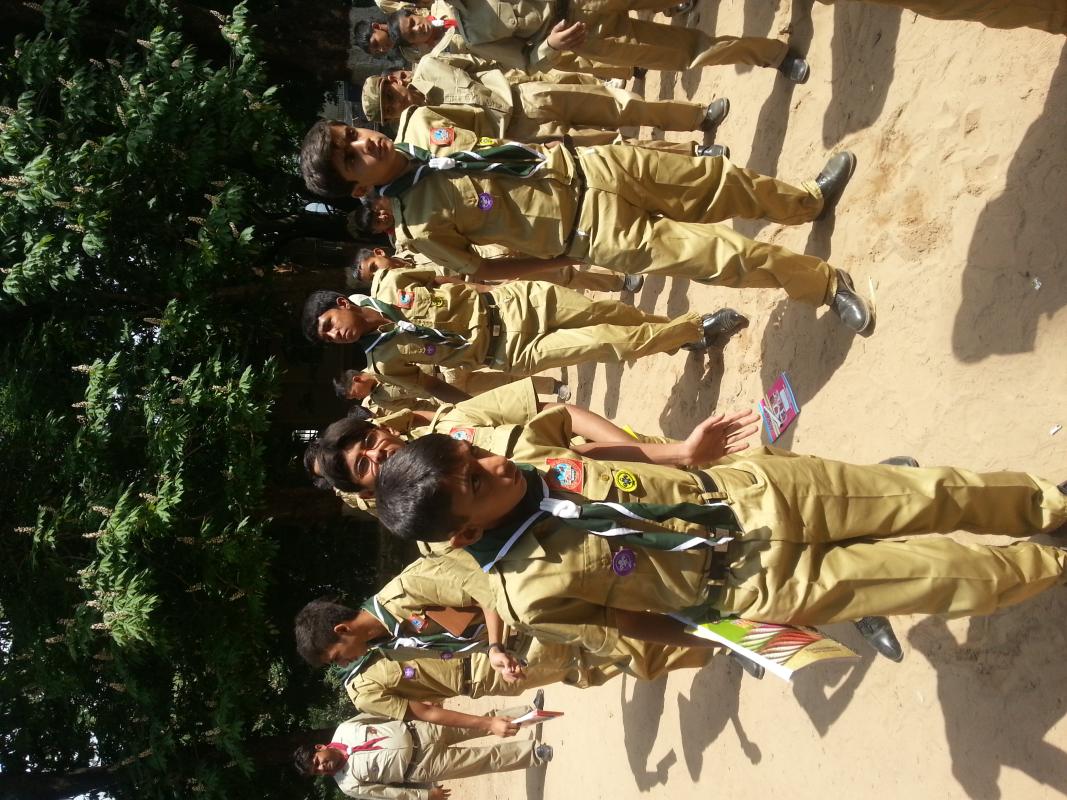 Learn Scout as skill and implement in daily life