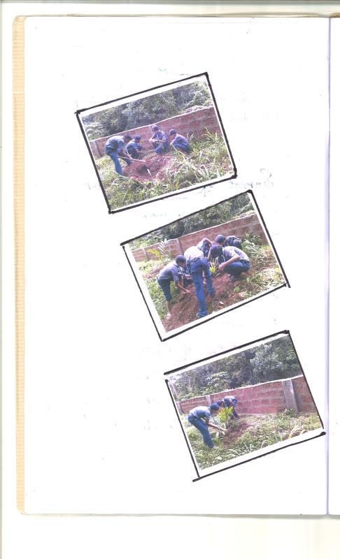 Community worker