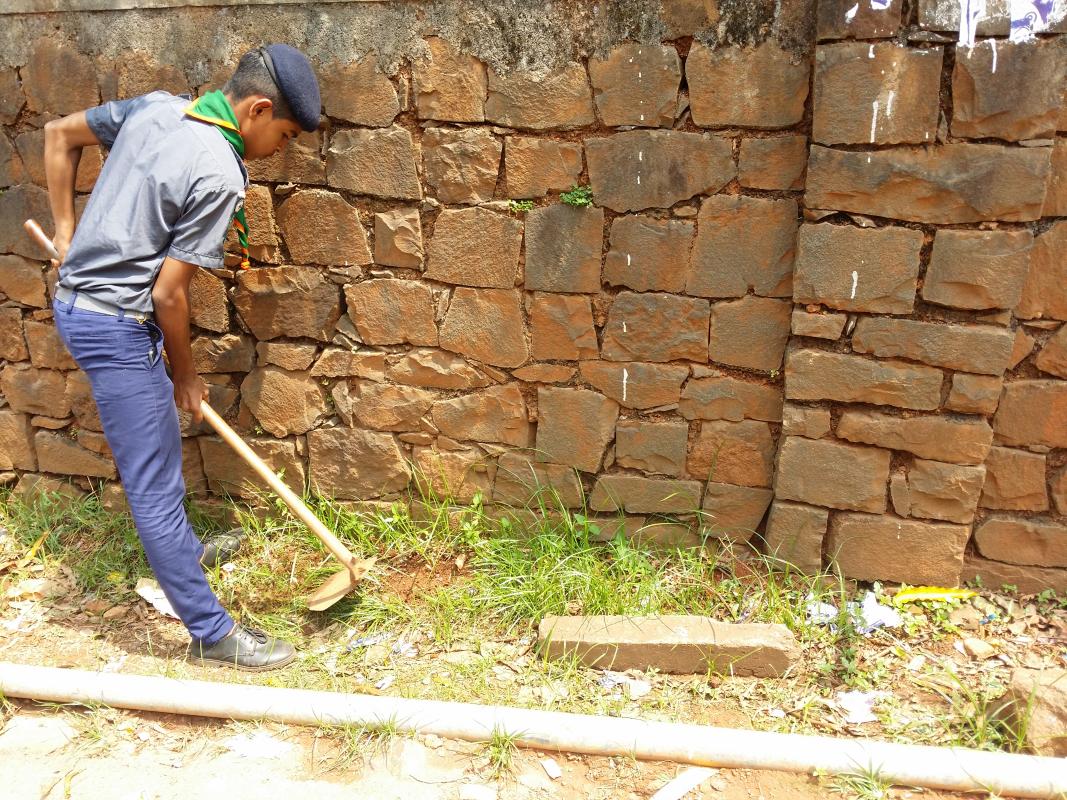 conservation