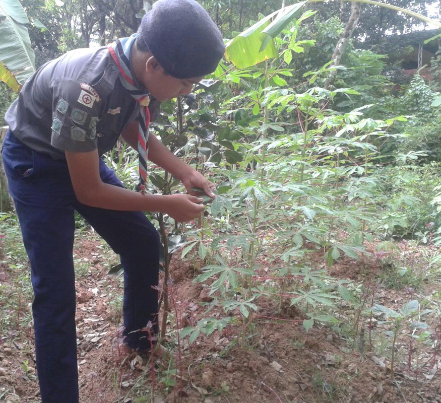 36 Hours Service Project- Preservation Of Greenery-Making a vegetable garden