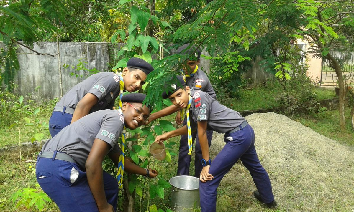 36 hours service project