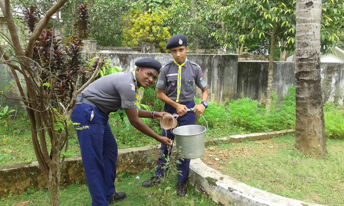 36 hours service project
