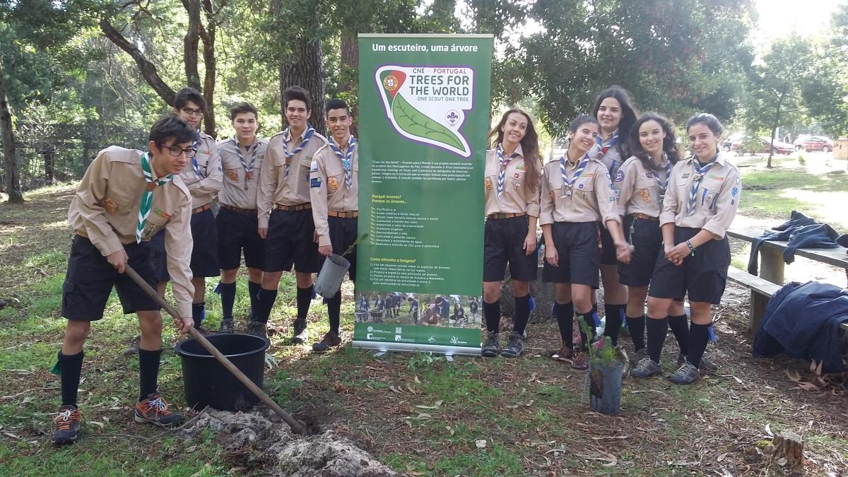 "Trees For The World Activity"